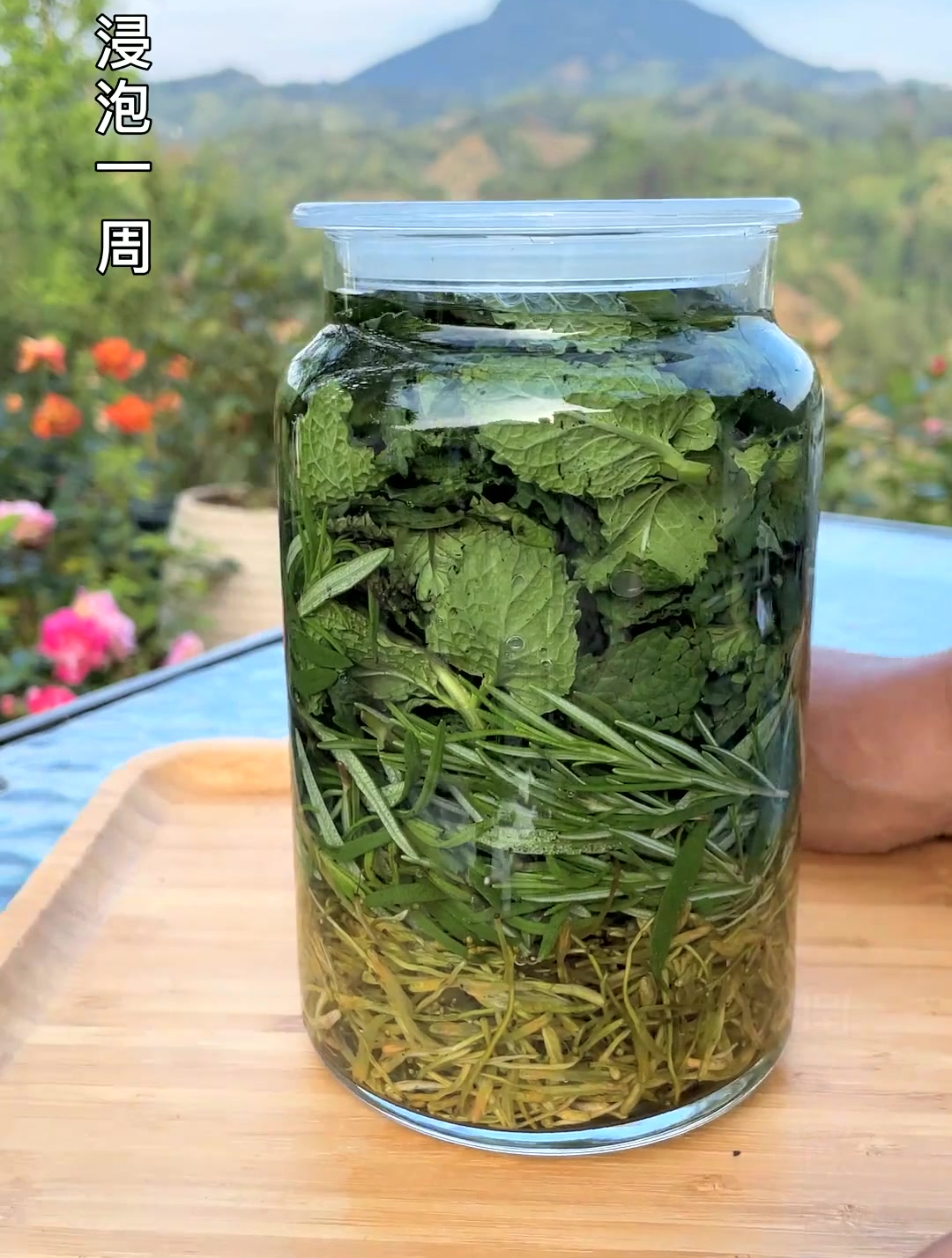 坚强和努力最终会治愈自己,自制驱蚊水予你 纯天然无添加-度小视