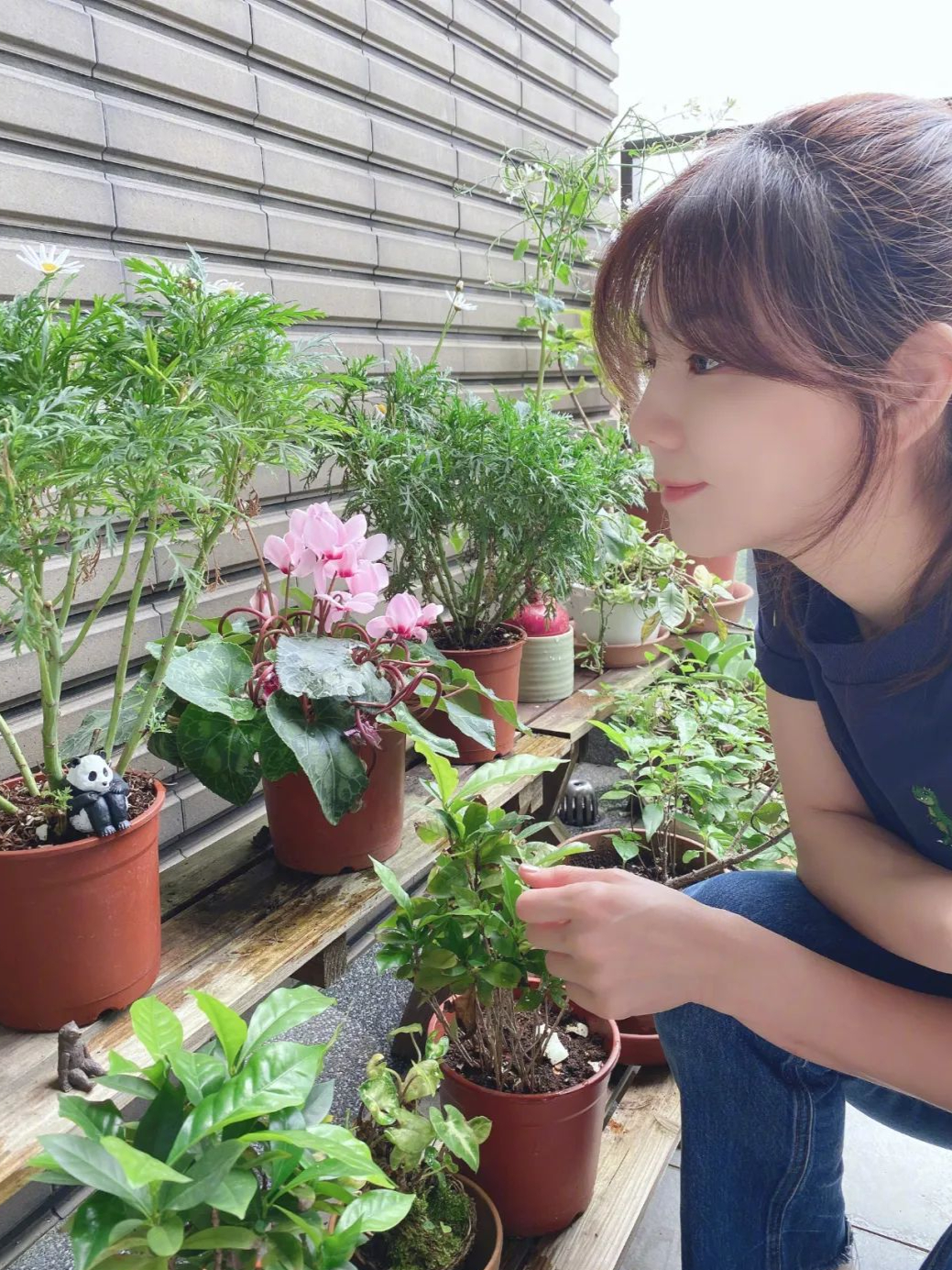 你会被ella陈嘉桦豪宅圈粉吗?全屋没有一丝俗气,简直太美了