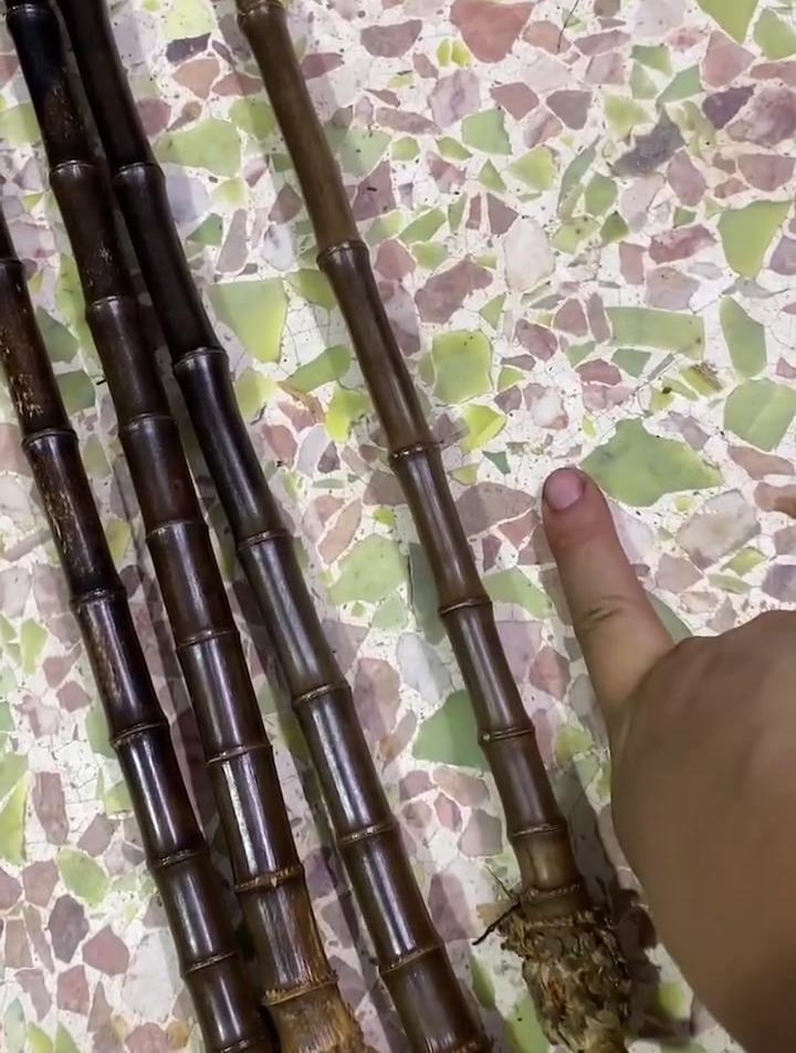 手工制作竹子鱼竿