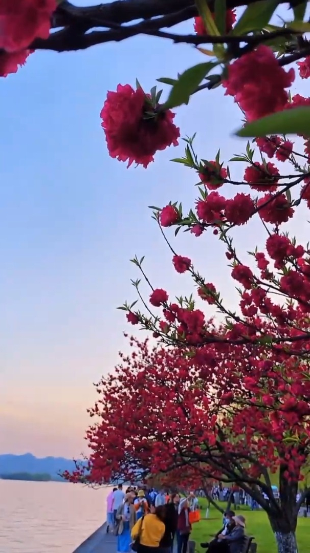 治愈风景欣赏:最美人间四月天