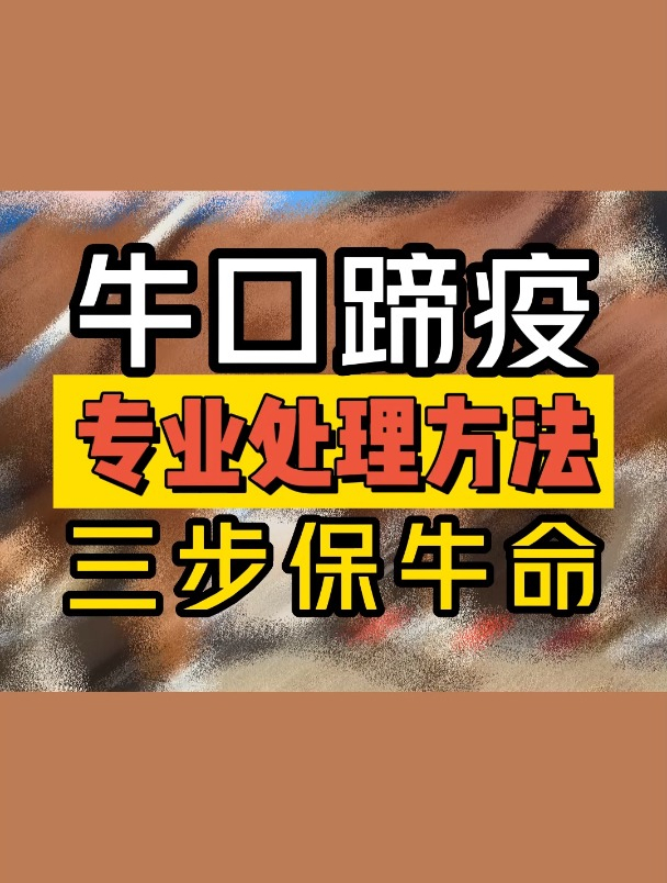 治牛口蹄疫最快的偏方图片