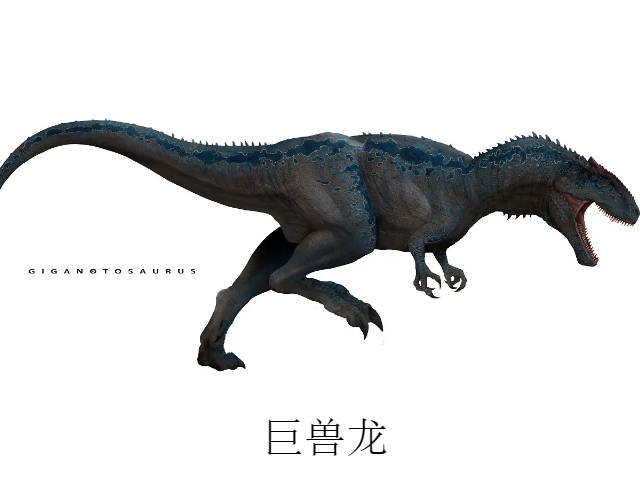 巨兽龙和霸王龙的区别