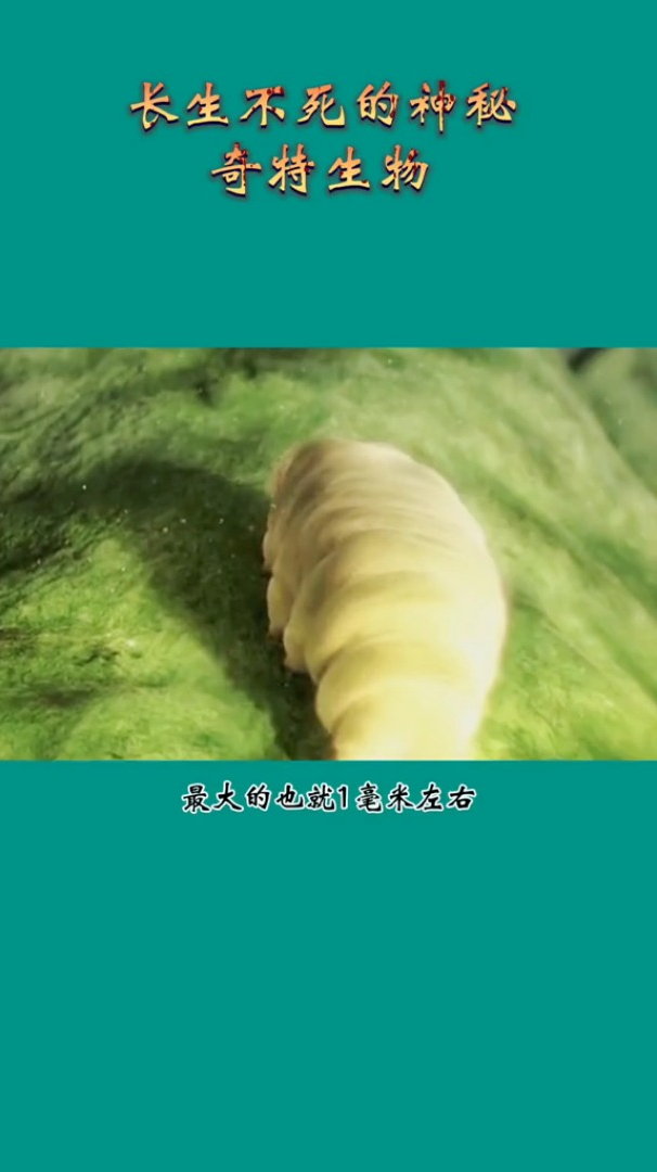 奇闻世界奇闻异事未解之谜世界奇闻异事长生不死的奇特生物