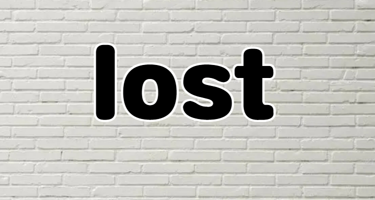lost的名词是什么