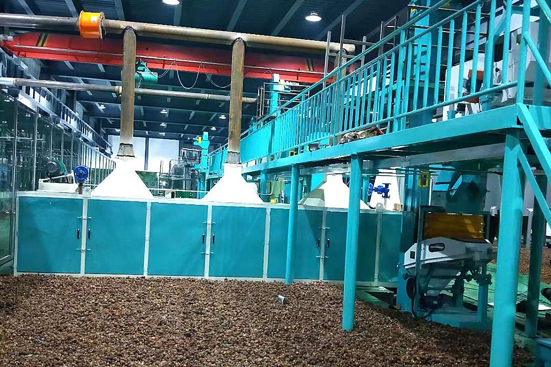 榨油机制取木子油低温压榨工艺