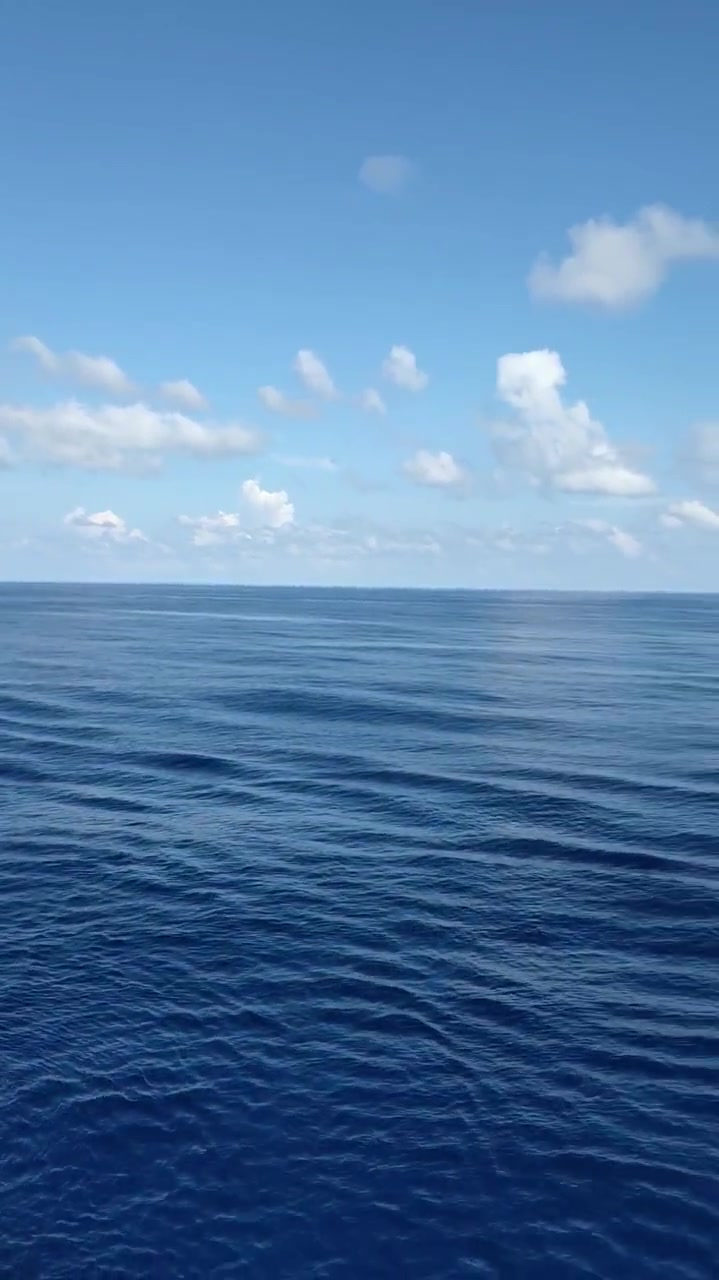 一起看看真实的大海深处,有深海恐惧症的人别看,我已经中枪了