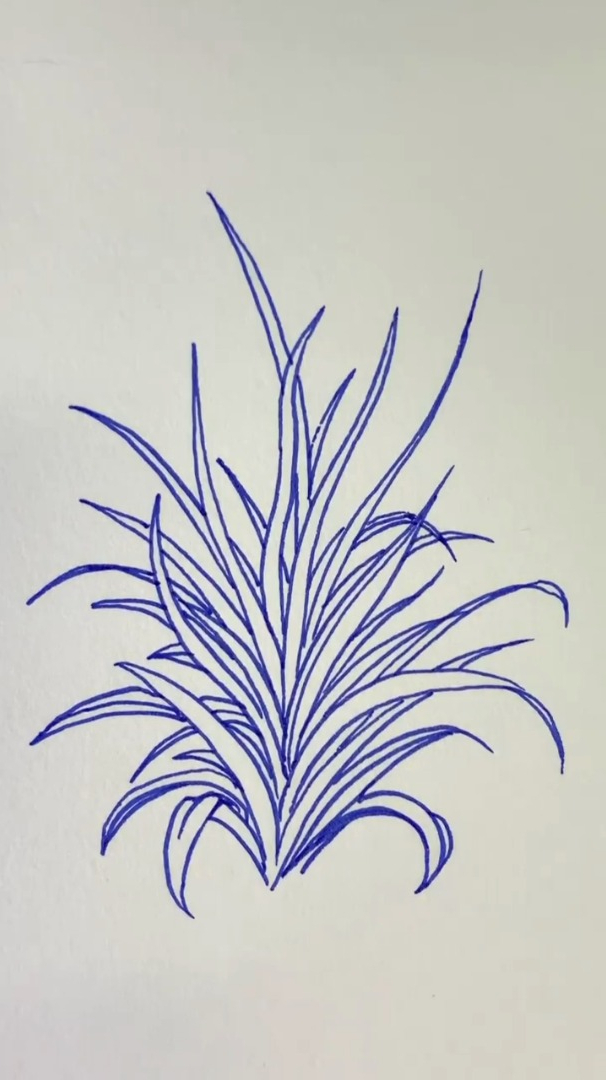 草的简单画法,学会了吗