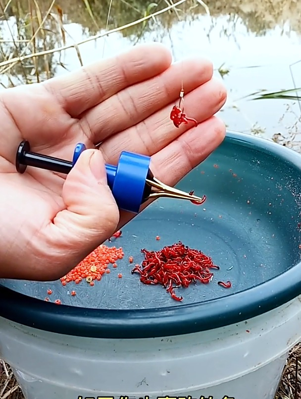 最快捷的红虫挂钩"办法",不怕红虫体型小,挂一次上好几条鱼!