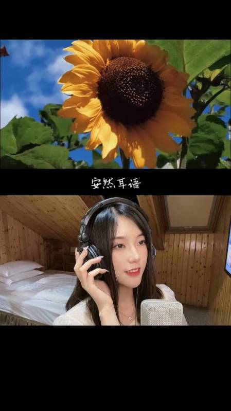 向日葵有个很好的花语:入目无别人,四下皆是你-度小视