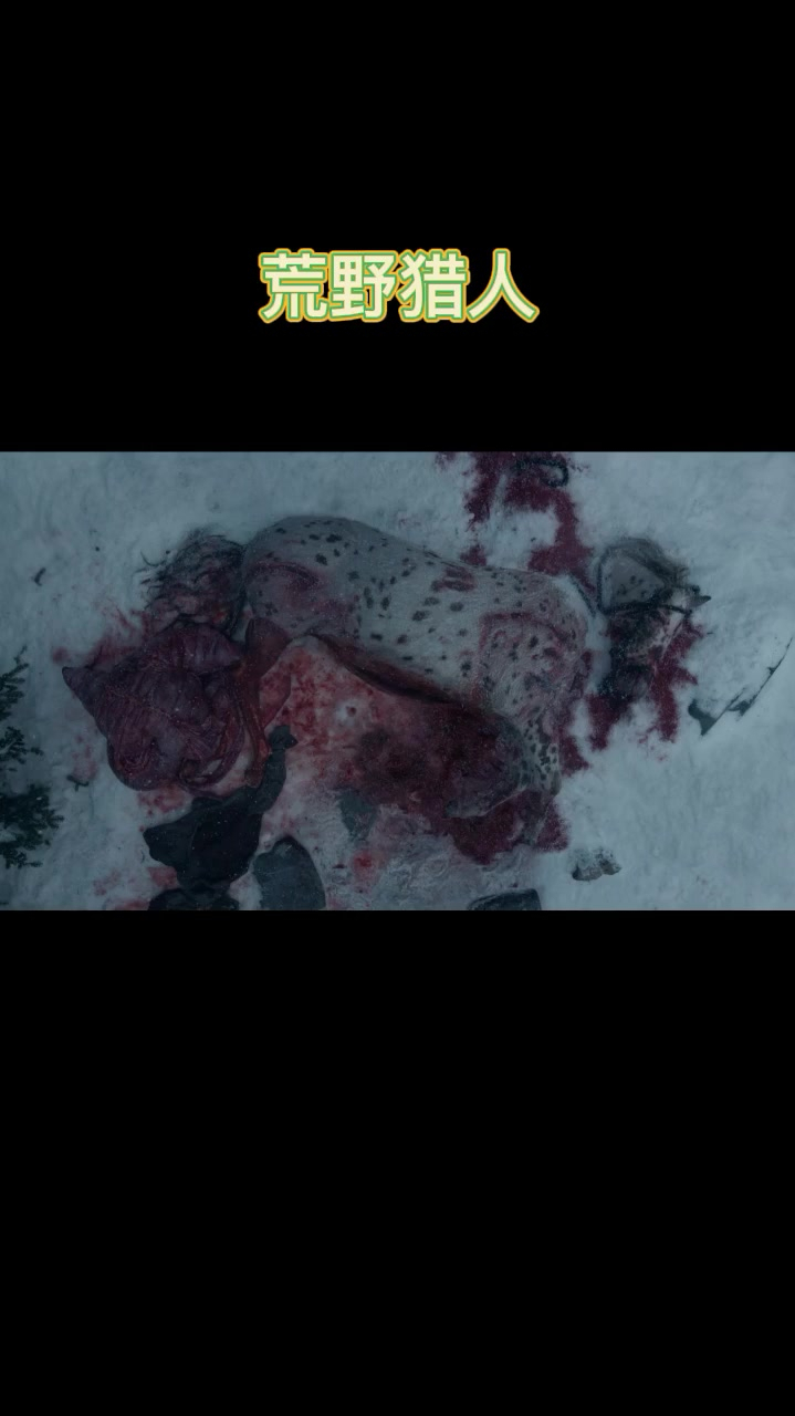 荒野猎人:男子通过躲在马肚子里,成功扛过了一晚上