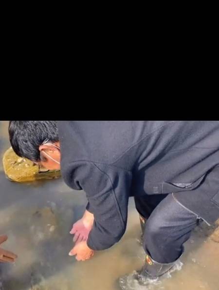 小章到礁石区赶海,翻开石块真是惊喜连连呀!