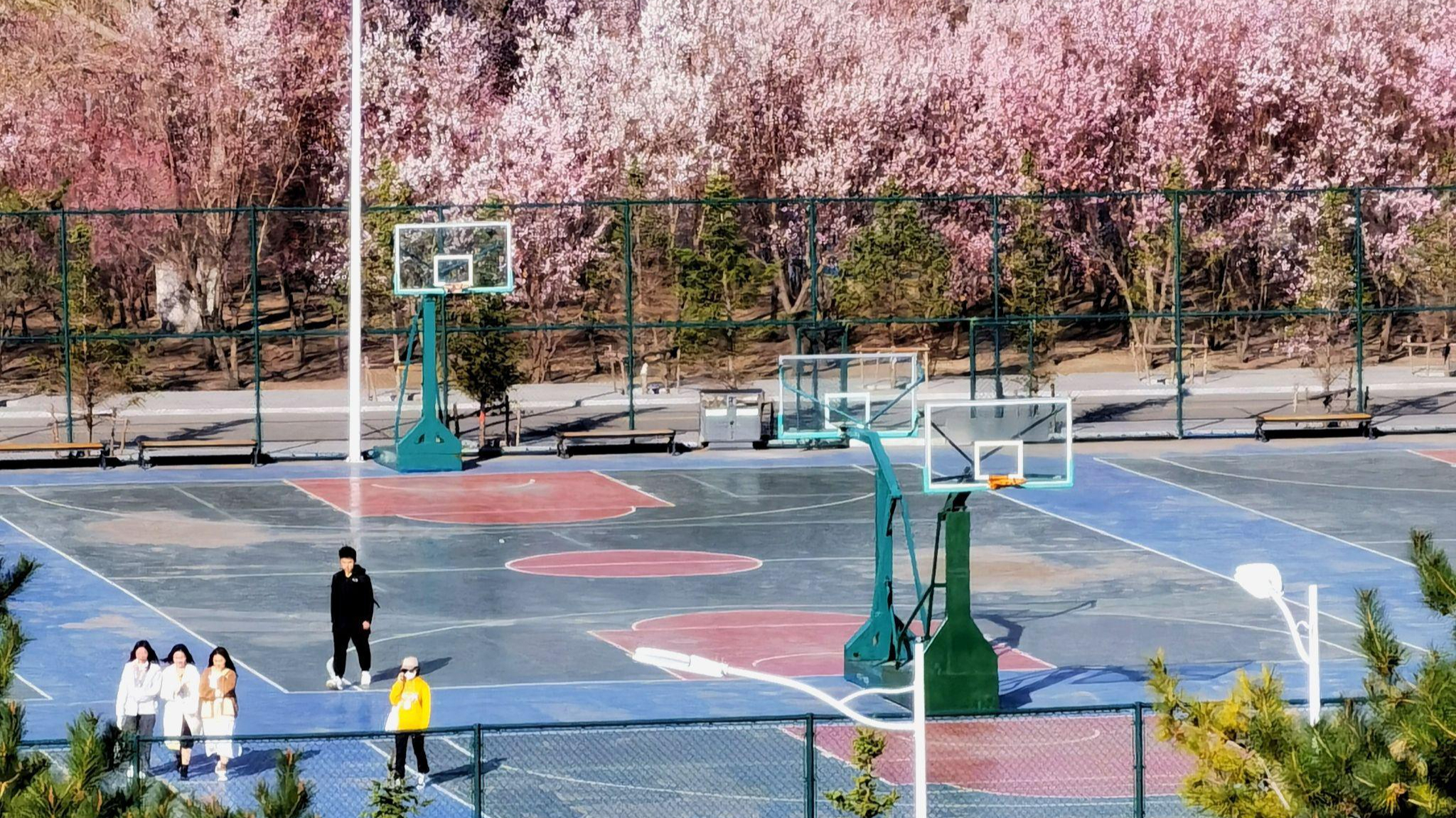 白城师范学院在哪?好不好?