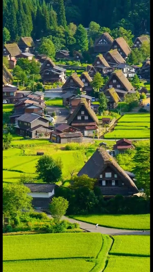 最好的風景:生活,有時候就該讓自己慢下來,靜下來