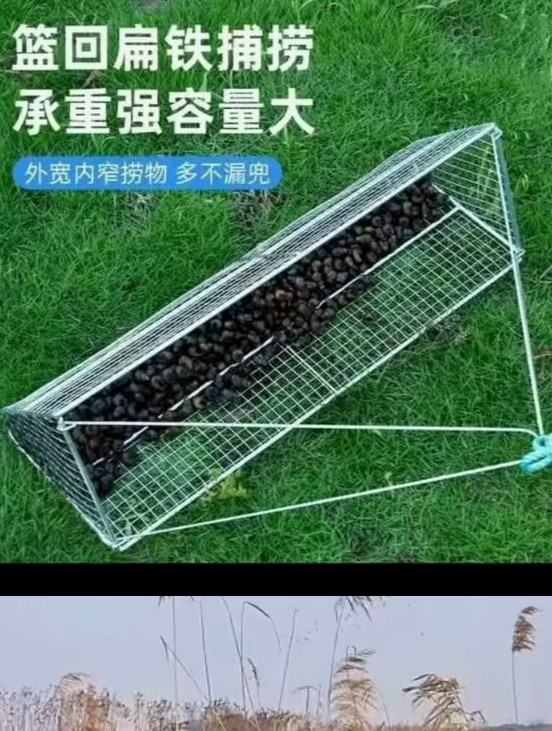 岸边操作无需下水,捕螺蛳田螺工具捞河蚌田螺网神器