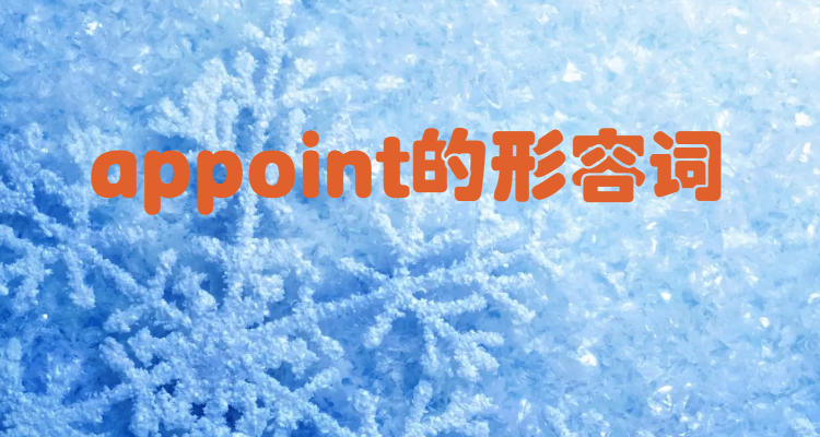 appoint的形容词是什么