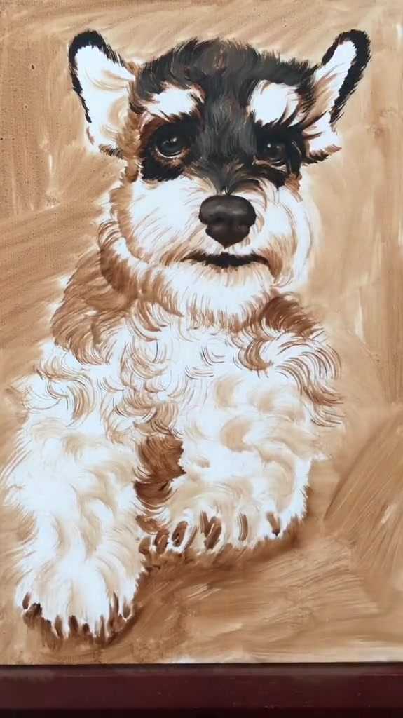 油画雪纳瑞,毛太厚了