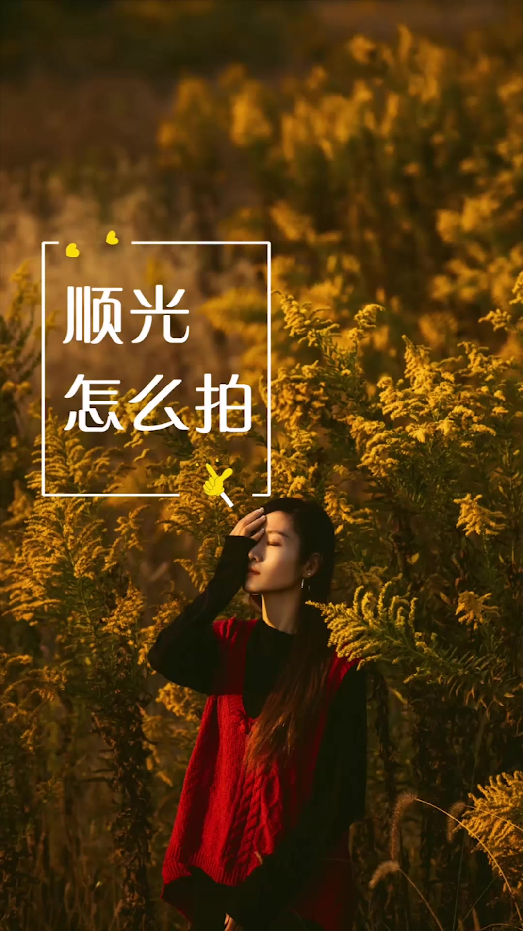 今天教大家如何用面部顺光来拍照片-度小视