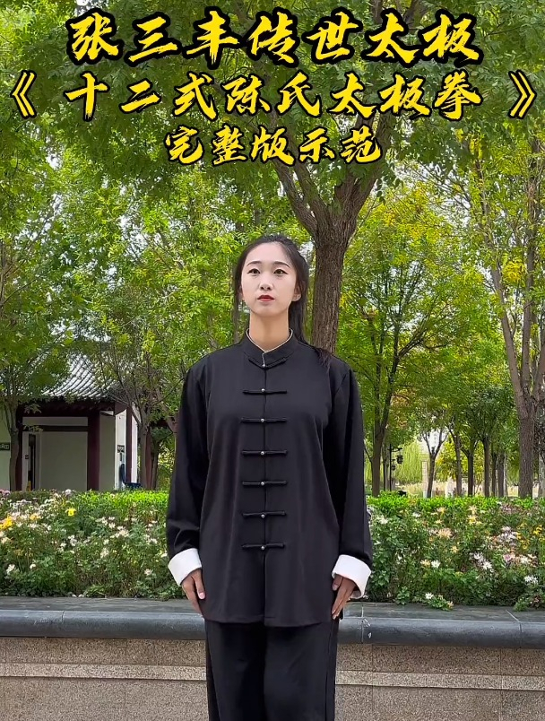 十二式陈氏太极拳