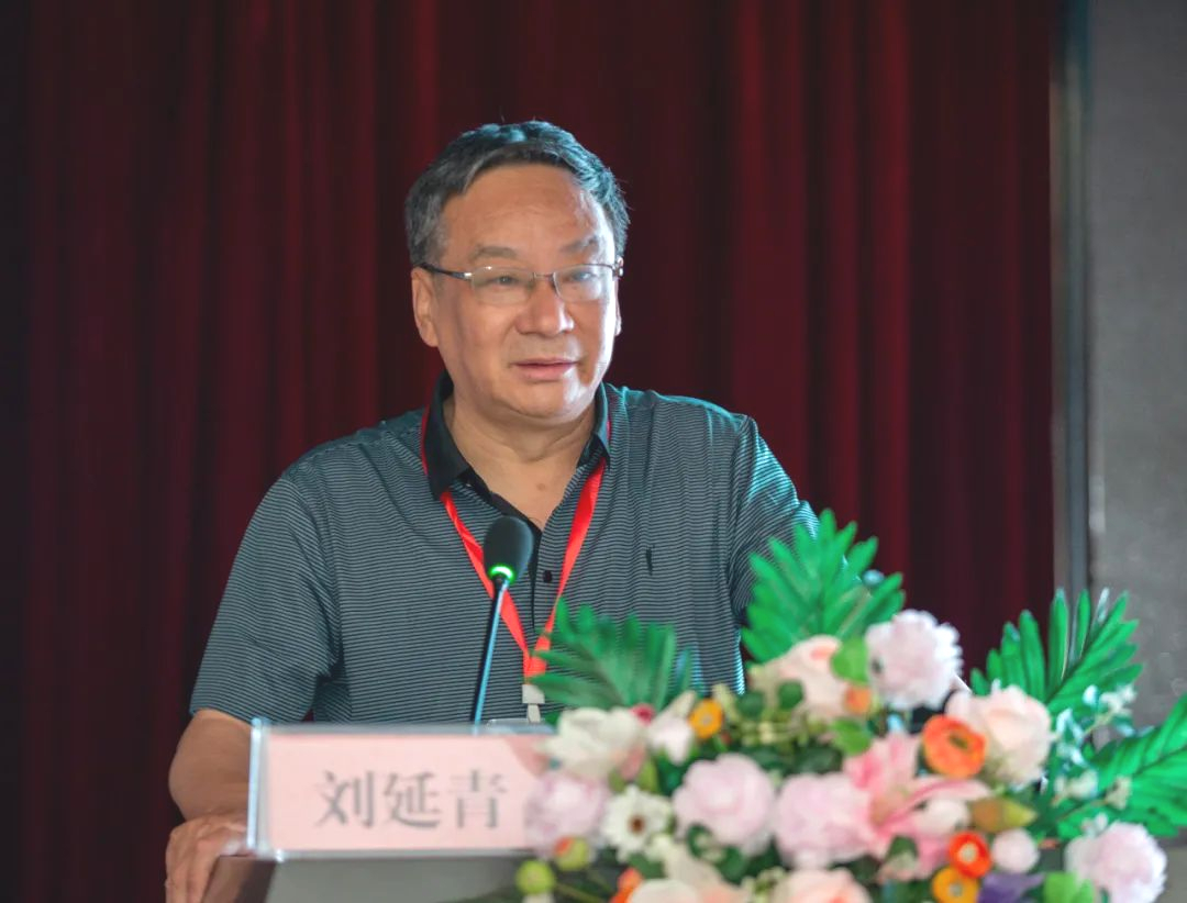 中国老年保健协会疼痛病学分会会长,北京天坛医院疼痛科刘延青教授