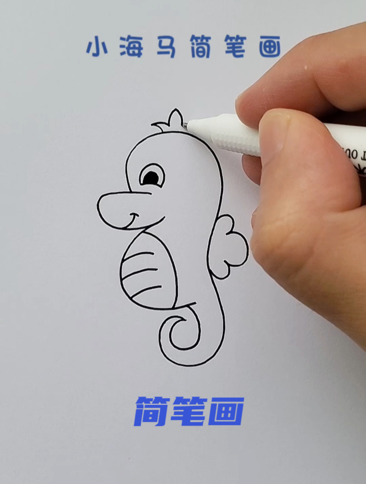 可爱的海马简笔画