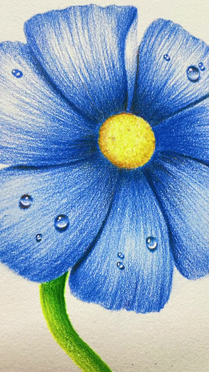 彩铅基础入门教程,蓝色的花花-度小视