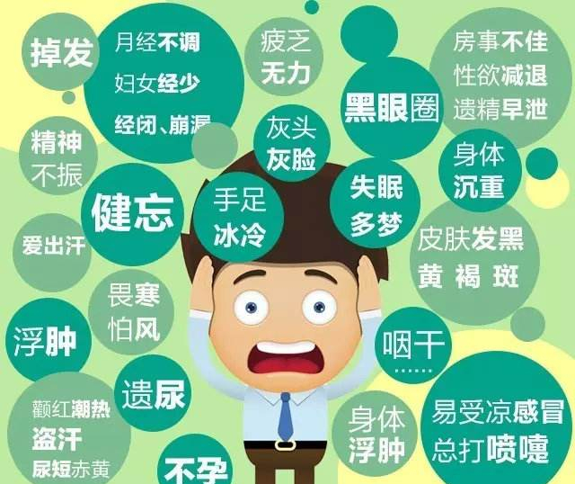 身体健康有4个标准,亚健康调理?日常养生试试"管花肉苁蓉"!