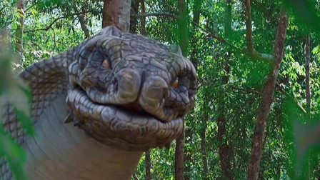 神洞被巨蟒守护千年,传说鬼谷子修炼之地,专家证实神仙存在?