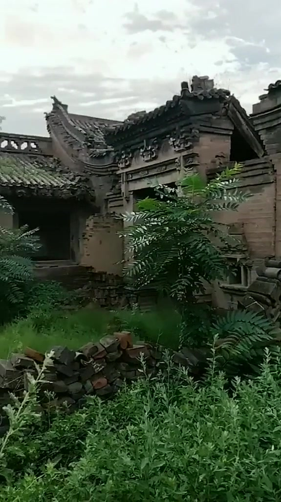 农村的清代地主大院!由于多年无人居住,院内杂草丛生,让人心痛