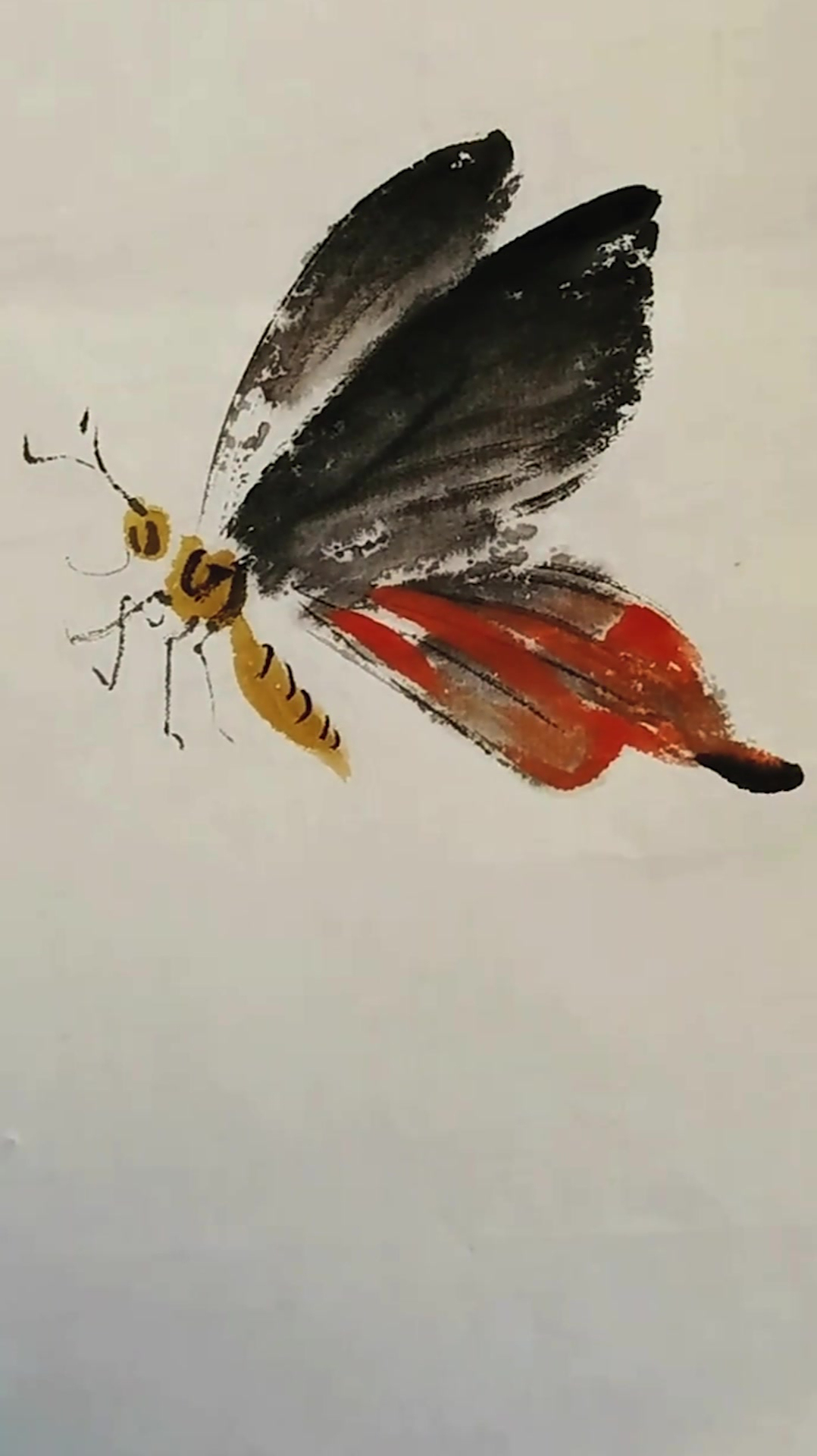 蝴蝶写意简单画法