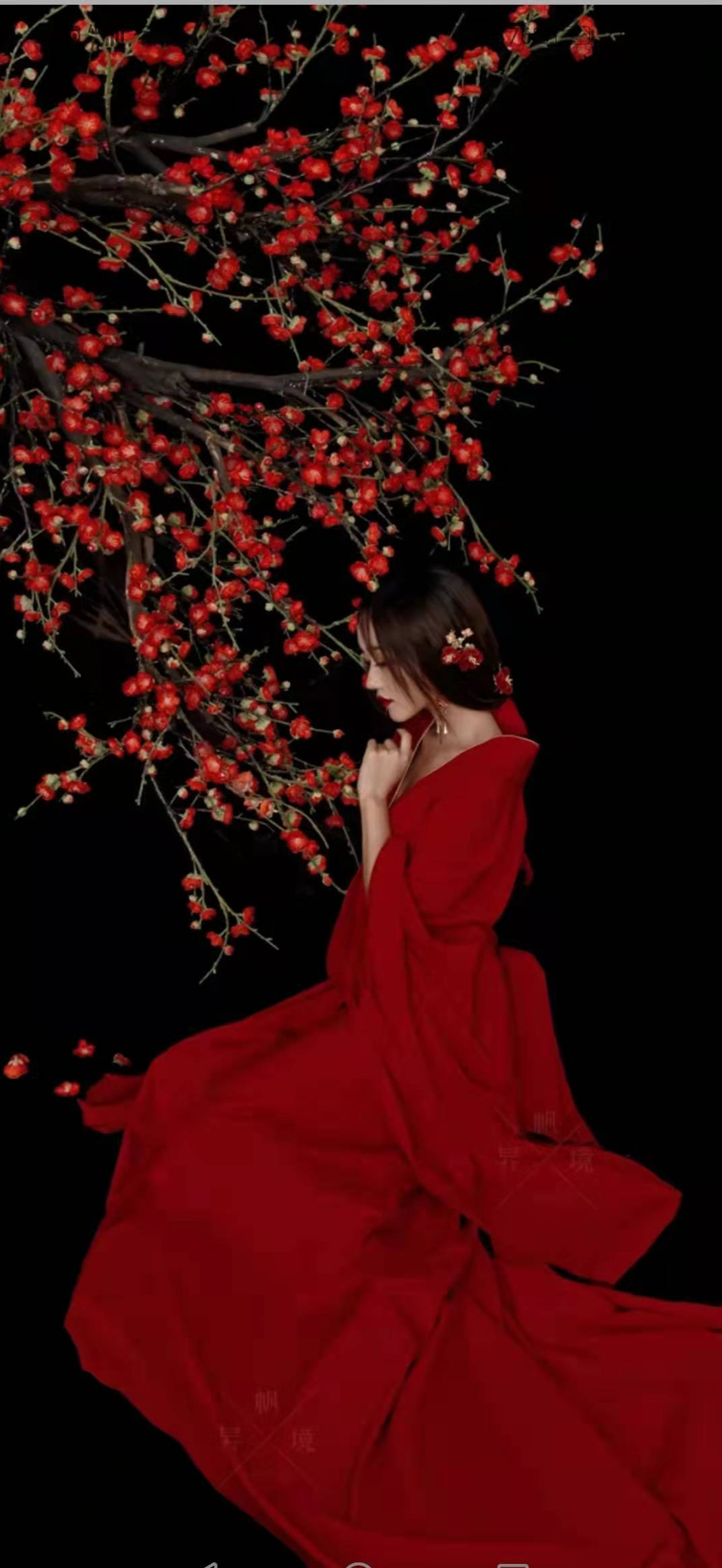 梅花 艳而不妖 梅香 清幽而雅 古风美女红裳梅花绝美9连