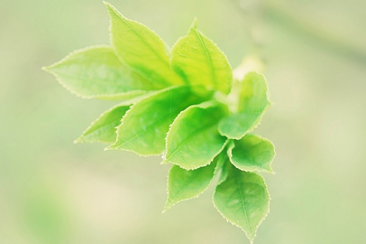 有些敏感话题,男人没跟你聊过,可能没爱过