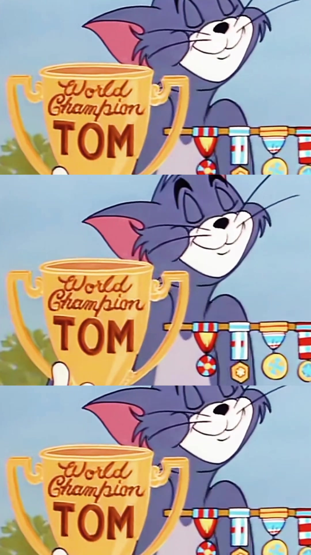 汤姆猫捕鼠冠军图片