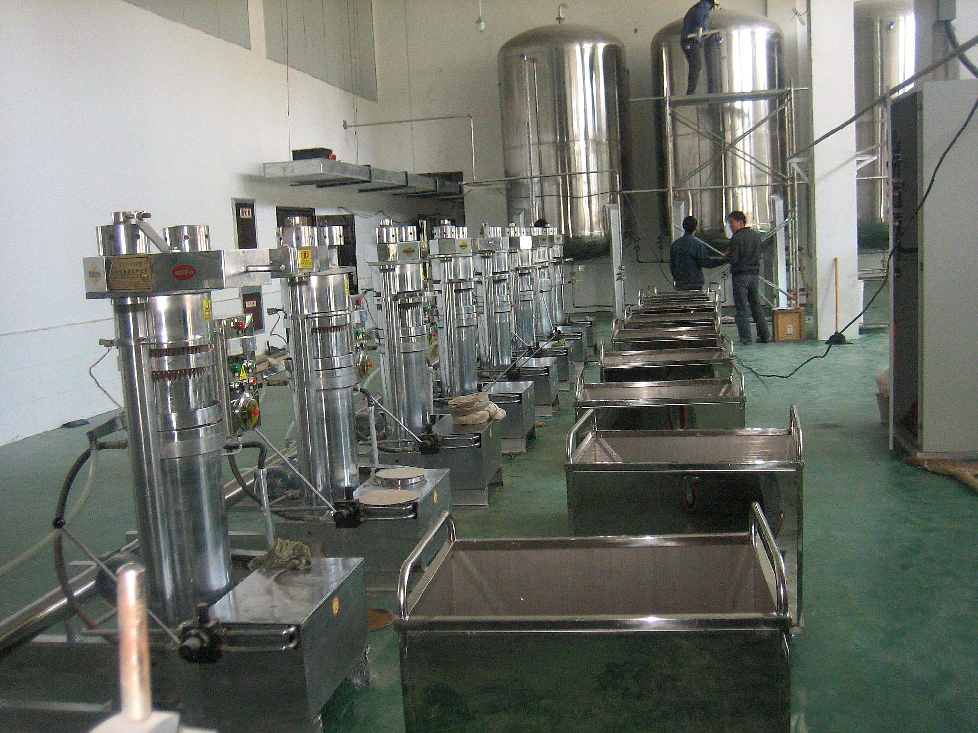 液压榨油机加工印加果油工艺流程