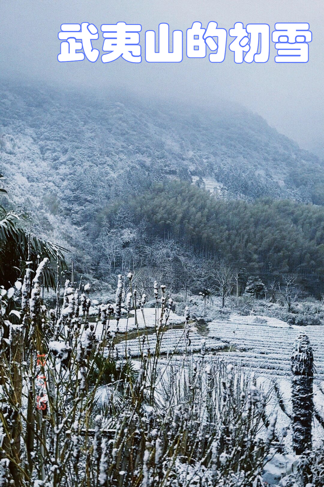 武夷山雪景图片