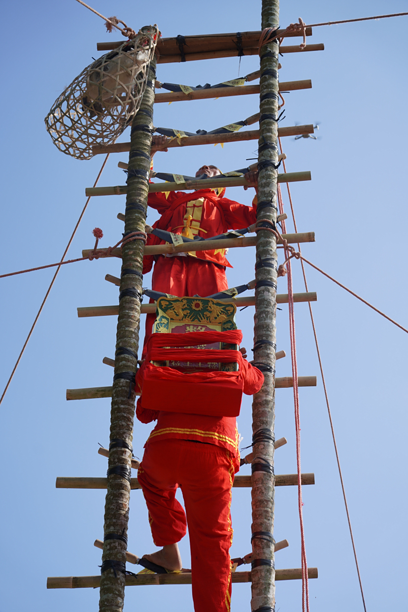 海南军坡节|闹军坡 喝奥巴牛