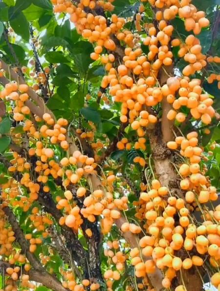 15万四个赖子的平胡吗?12.23万这牌的高能时刻70.