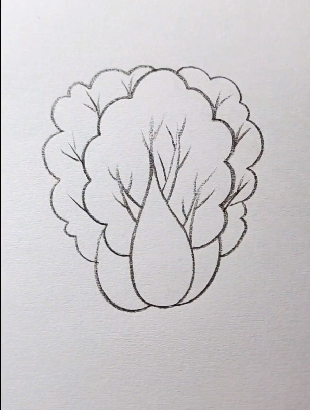 白菜的简单画法,喜欢的收藏哦 简笔画-度小视