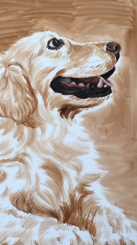 上个视频的金毛油画过程来啦