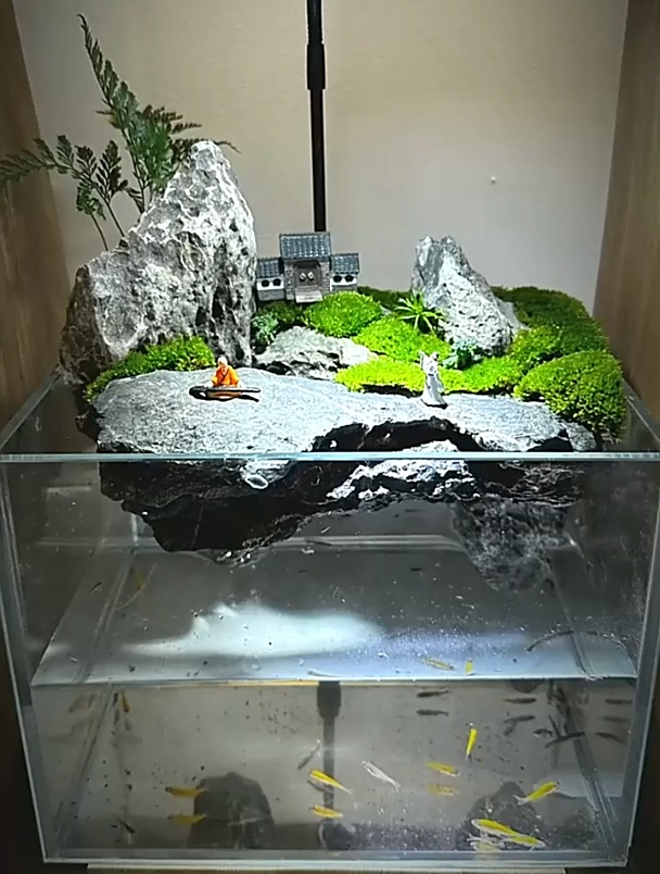 今天做个鱼缸造景,希望你们会喜欢.水陆缸 微景观 鱼缸