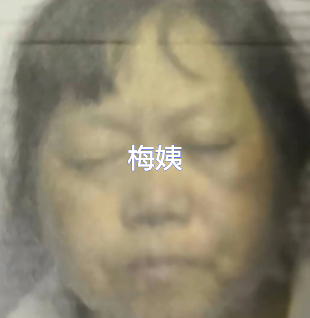 网传"人贩子梅姨"被抓