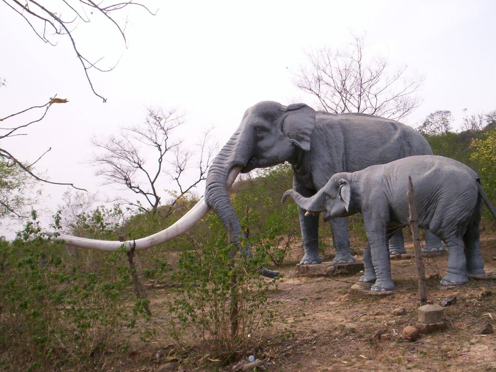 《黄河象》是小学语文课本中的一篇课文,介绍了曾经生活在中国北方