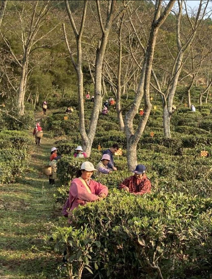 展讯丨以茶会友以茶彰文温国刚入选北京地铁《艺脉相承》主题巡展