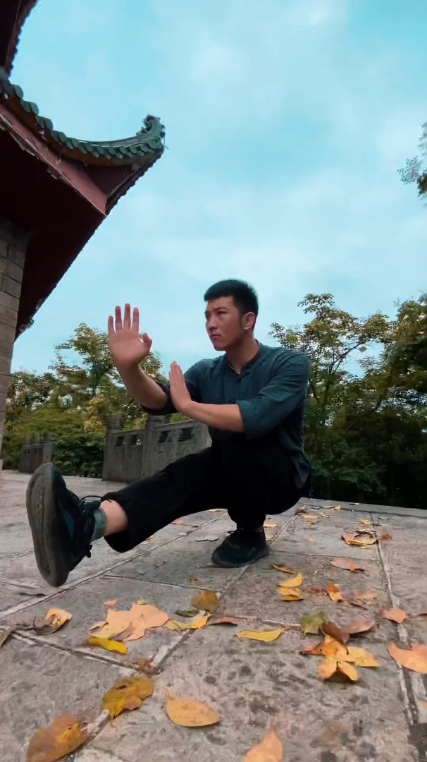 挑战叶问蹲,果然下盘还需练习!咏春拳 前举腿低势平衡 叶问蹲-度小视