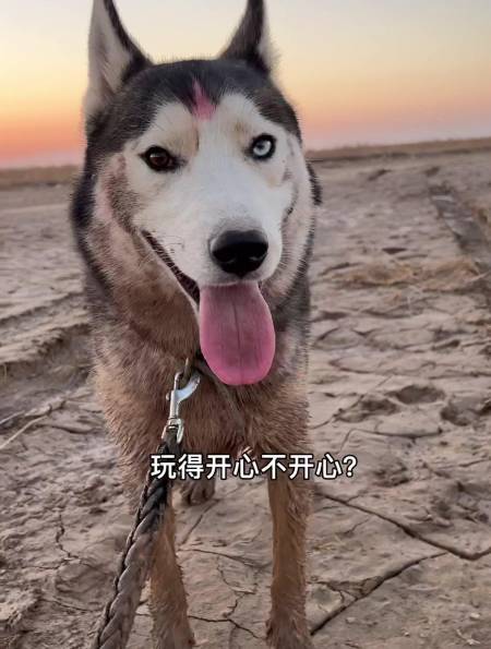 2022-09-190妮可小姐姐12353粉丝  关注小姐姐教龙猫拿东西各种摆烂