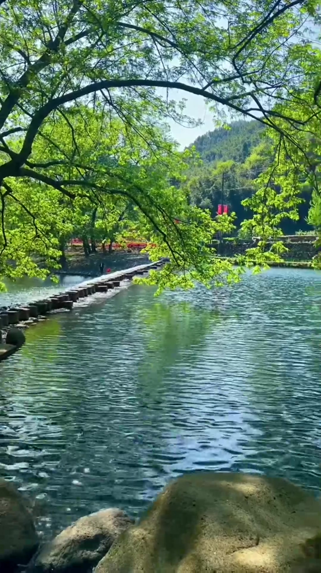 娱乐治愈风景:诗画般的小山村小桥流水人家