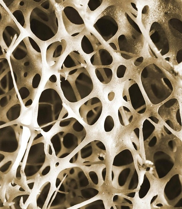 一组微观世界真实科学图片,很多早已超出你的认知!