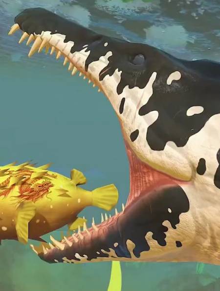 刚出门就看见一只苍龙王咬住了黄金河豚-度小视