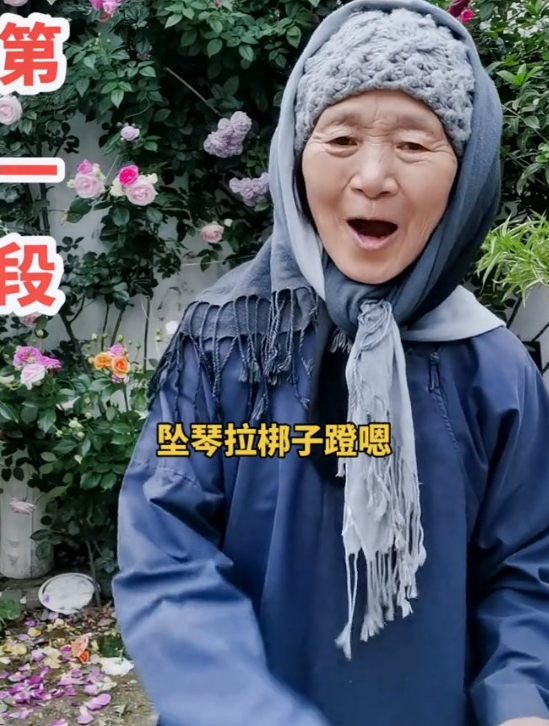 河南坠子刘公案,第一段