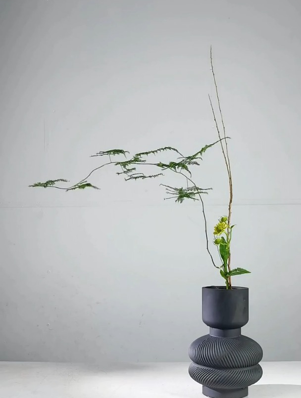 干枝雪柳这样插花,远征教