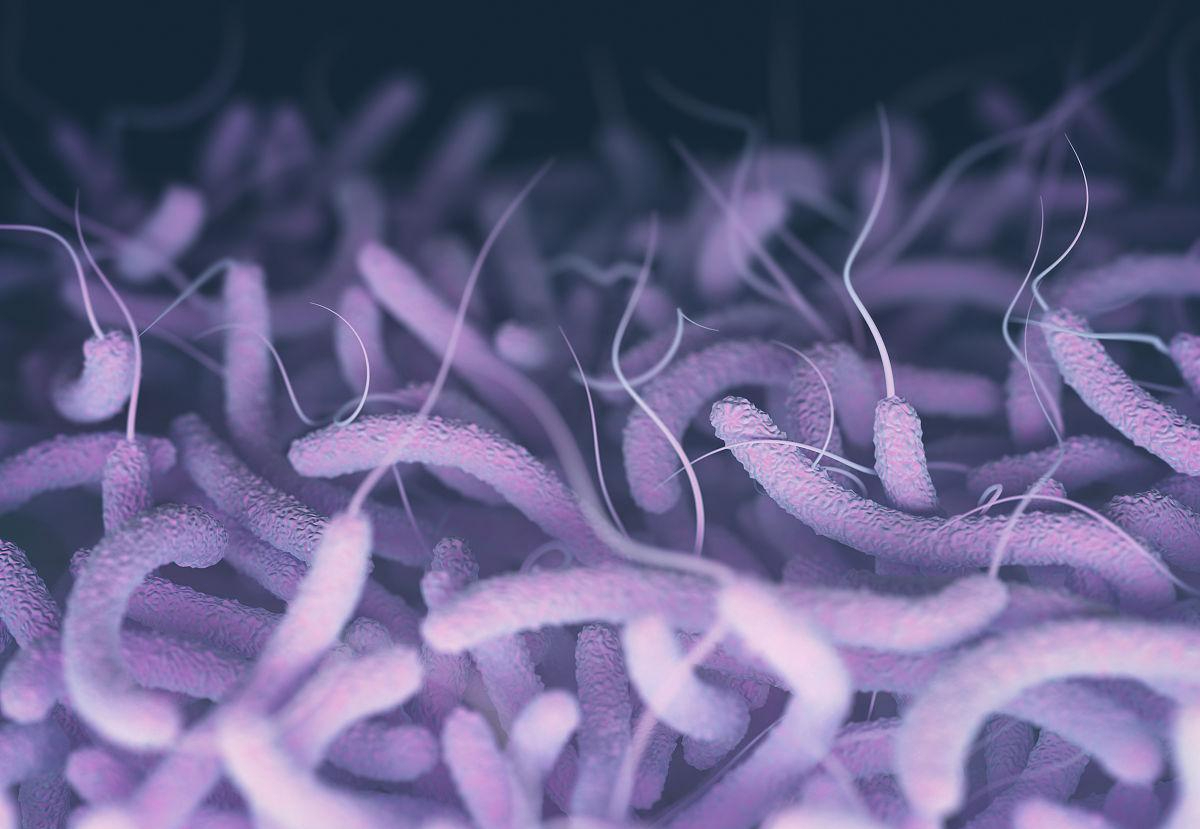 细菌鞭毛是细菌用于运动的细胞器,而它又是如何进化而来的?